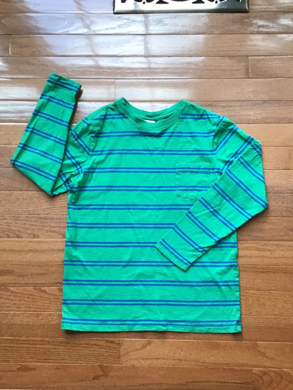 Hanna Andersson Green & Blue Striped Long Sleeve Tee